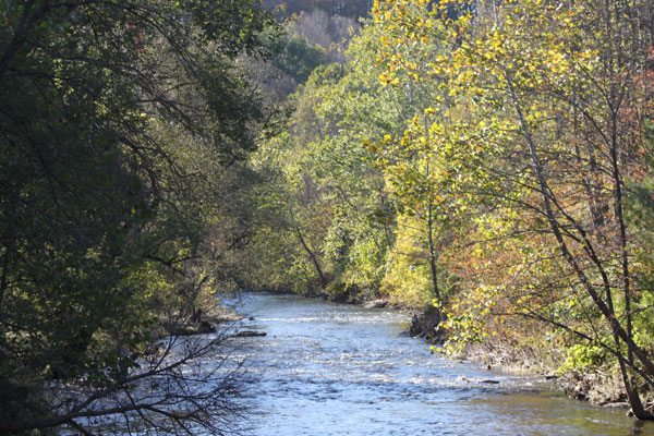 Jennings Nature Preserve