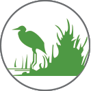 Nokomis Forest Stewardship Trail Icon