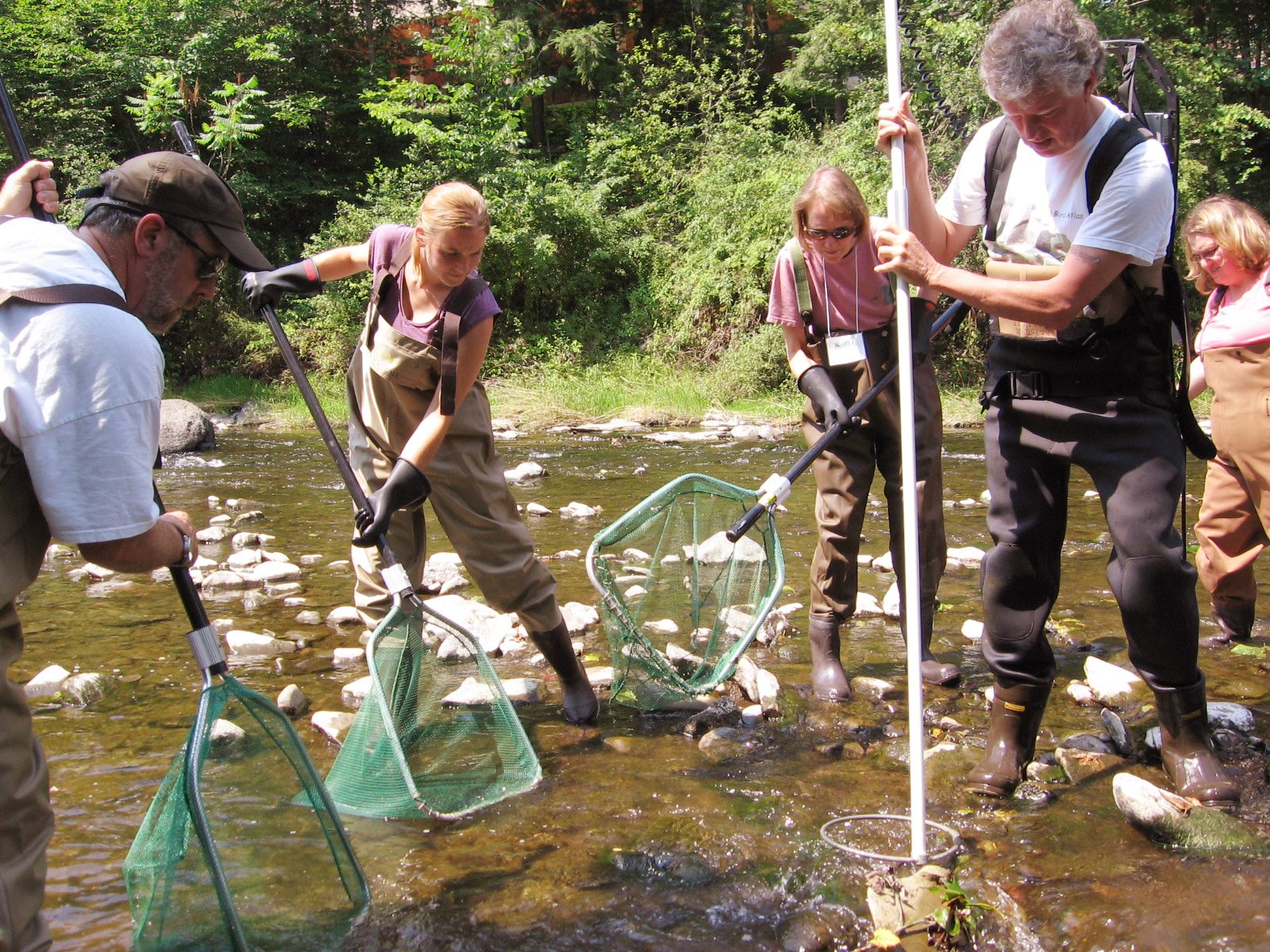 Keystone College faculty and students use nets in creek