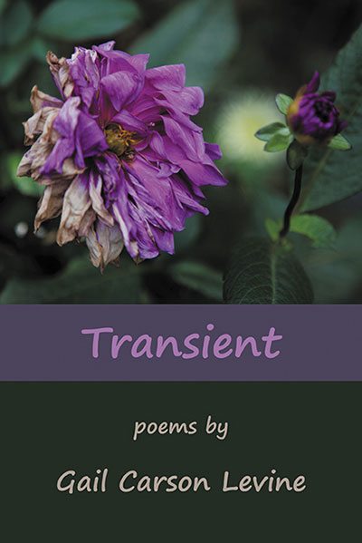 Transient