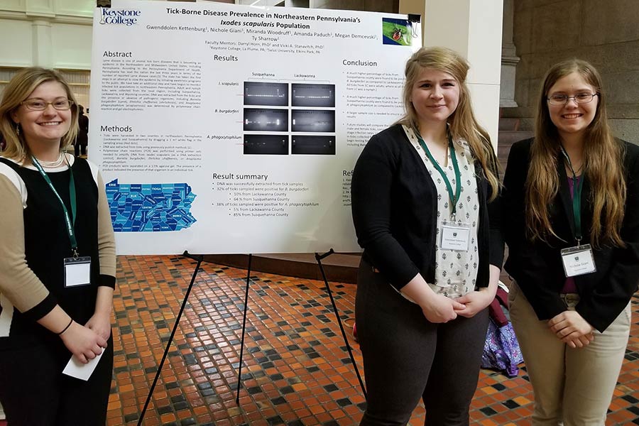 Keystone students present undergraduate research at Capitol in Harrisburg