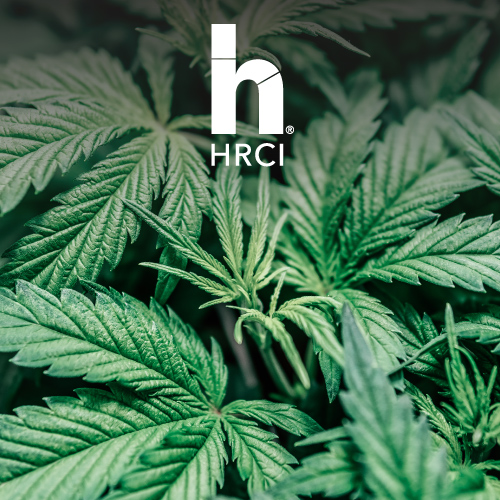HR Hot Topic: Marijuana and the Workplace