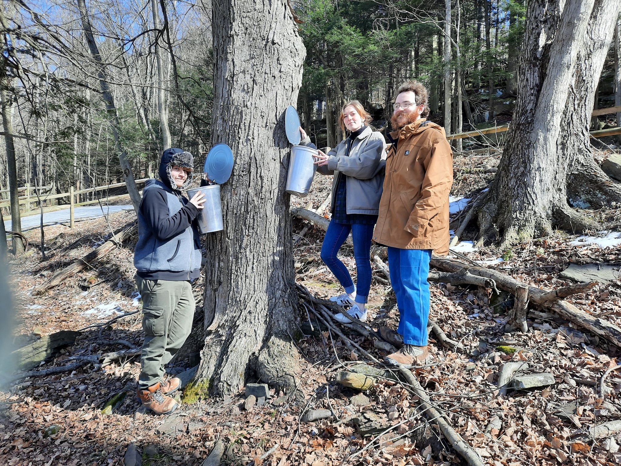 Students learning about trees