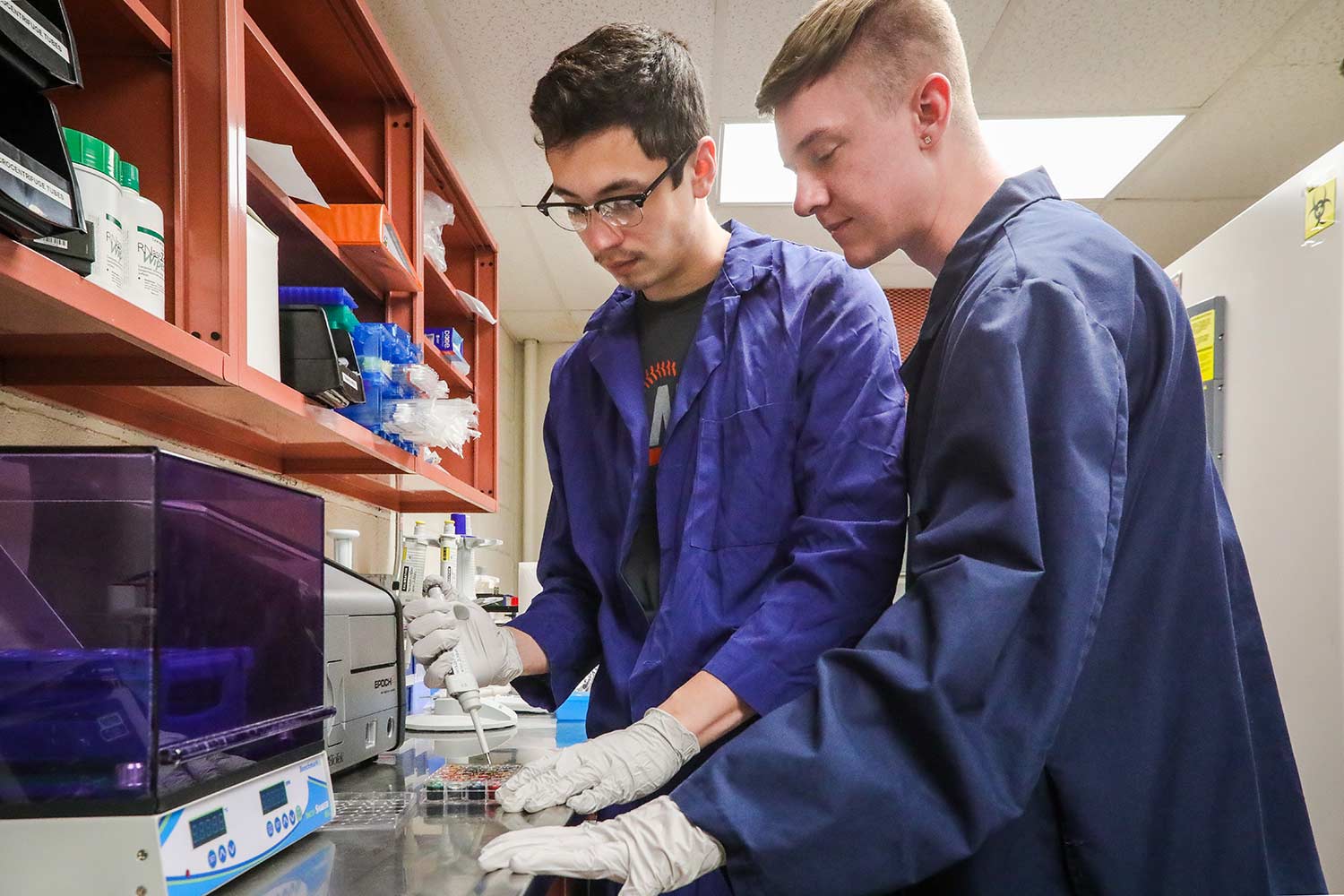 Microbiology Students Working In Lab