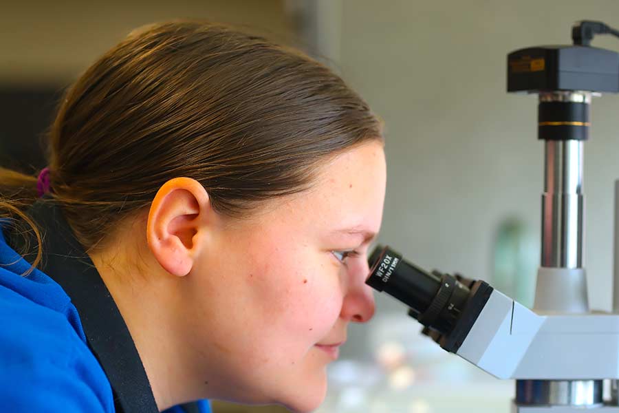 Science Student At Microscope