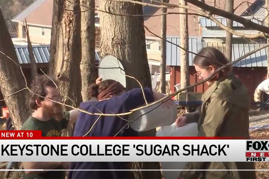 Keystone College Sugar Shack featured on FOX56