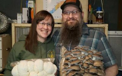 Mushrooms are a growing business for George ’01 and Jennifer Linsenbigler
