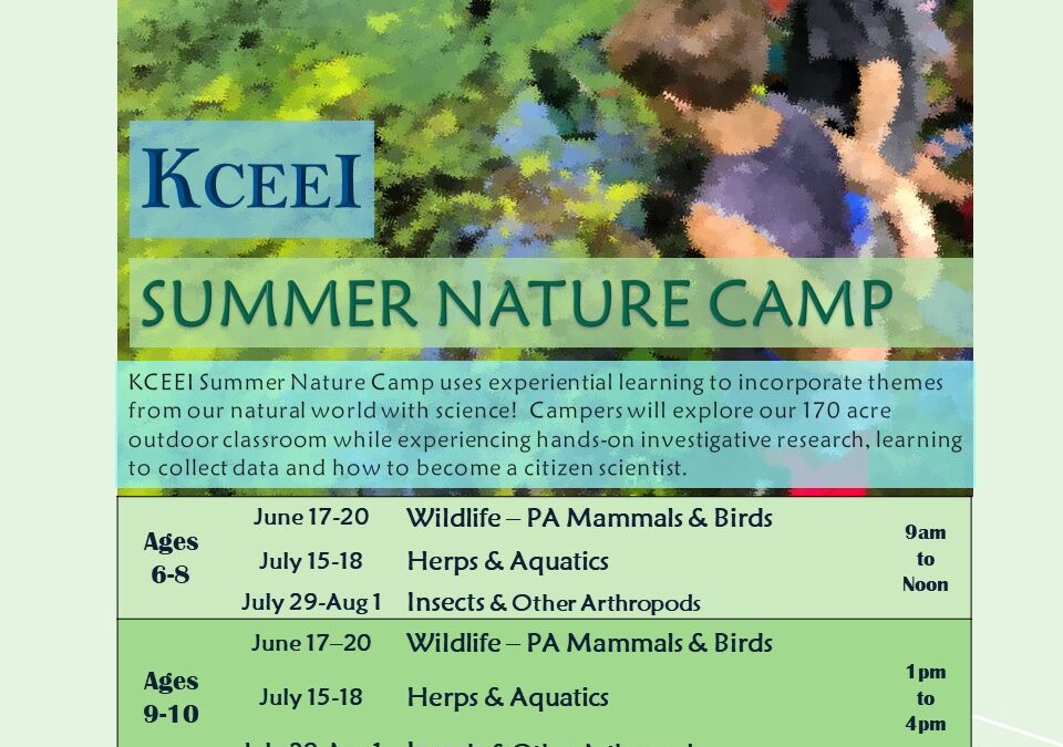 KCEEI Summer Nature Camps