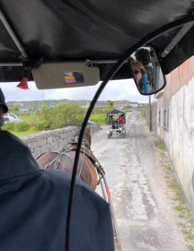 Horse and cart ride through the island