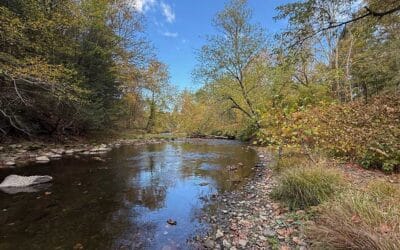 The Science Behind the Season: Why Keystone College Is the Perfect Place to Watch Autumn Unfold