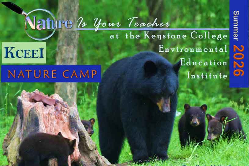 2026 NATURE CAMP POSTER