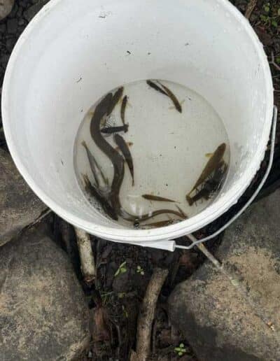 Wildlife Biology graduate students conduct experiments
