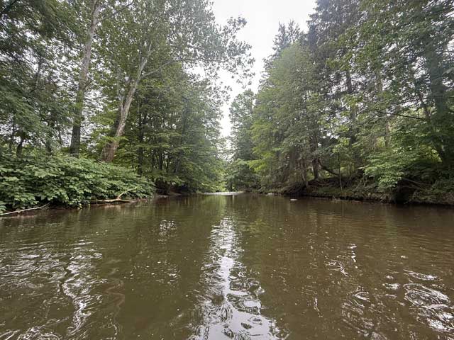 Wildlife Biology graduate students conduct experiments