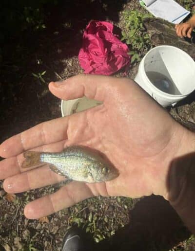 Wildlife Biology graduate students conduct experiments