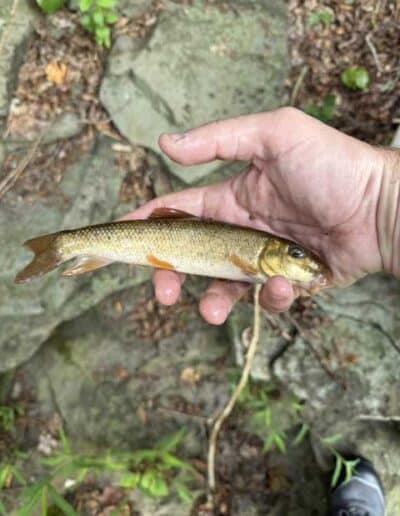 Wildlife Biology graduate students conduct experiments